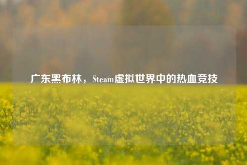 广东黑布林，Steam虚拟世界中的热血竞技