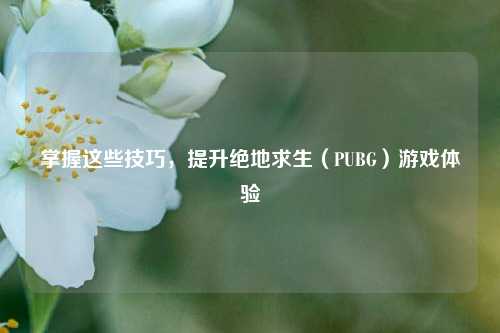 掌握这些技巧，提升绝地求生（PUBG）游戏体验