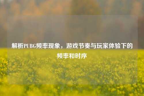 解析PUBG频率现象，游戏节奏与玩家体验下的频率和时序