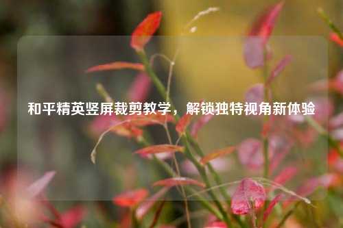 和平精英竖屏裁剪教学，解锁独特视角新体验