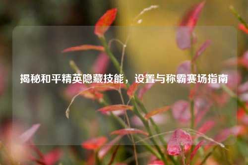 揭秘和平精英隐藏技能，设置与称霸赛场指南