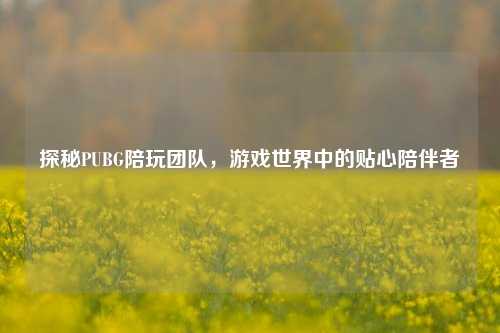 探秘PUBG陪玩团队，游戏世界中的贴心陪伴者