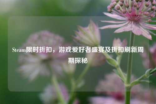Steam限时折扣，游戏爱好者盛宴及折扣刷新周期探秘