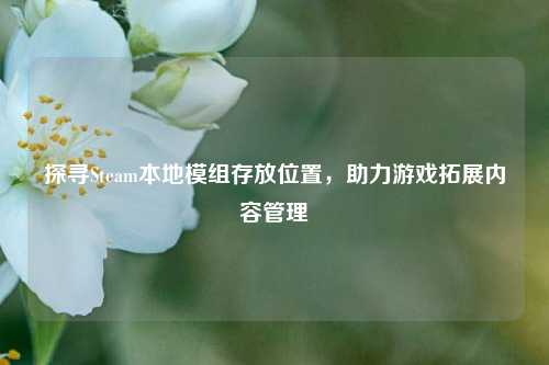 探寻Steam本地模组存放位置，助力游戏拓展内容管理