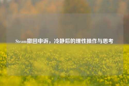 Steam撤回申诉，冷静后的理性操作与思考