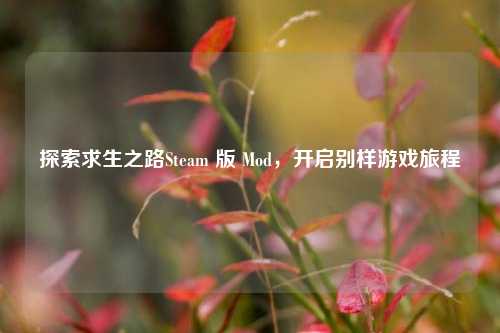 探索求生之路Steam 版 Mod，开启别样游戏旅程