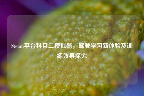 Steam平台科目二模拟器，驾驶学习新体验及训练效果探究