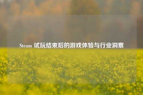 Steam 试玩结束后的游戏体验与行业洞察