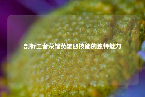 剖析王者荣耀英雄四技能的独特魅力