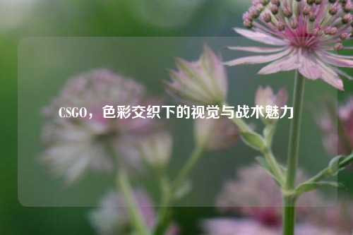 CSGO，色彩交织下的视觉与战术魅力