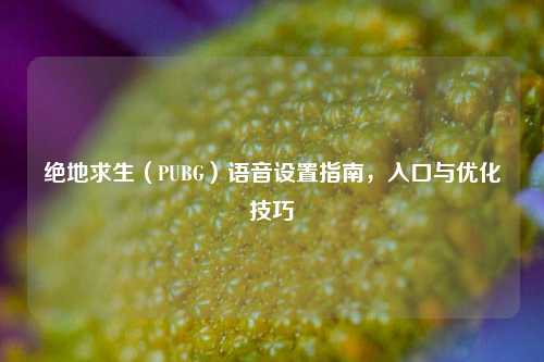 绝地求生(PUBG)语音设置指南,入口与优化技巧