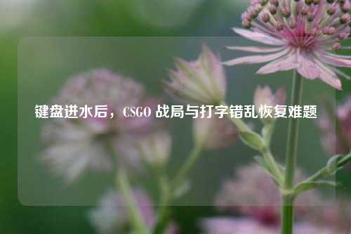 键盘进水后,CSGO 战局与打字错乱恢复难题