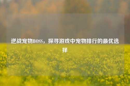 逆战宠物BOSS,探寻游戏中宠物排行的更优选择