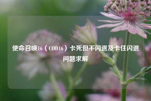 使命召唤16(COD16)卡死但不闪退及卡住闪退问题求解