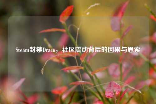 Steam封禁Draco,社区震动背后的因果与思索