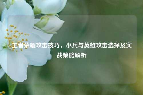王者荣耀攻击技巧,小兵与英雄攻击选择及实战策略解析