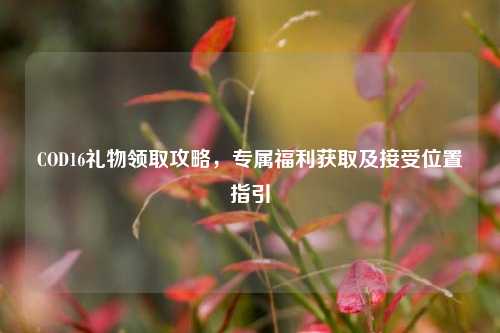 COD16礼物领取攻略,专属福利获取及接受位置指引
