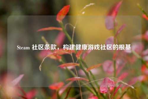 Steam 社区条款,构建健康游戏社区的根基