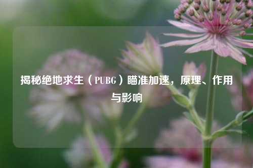 揭秘绝地求生(PUBG)瞄准加速,原理、作用与影响