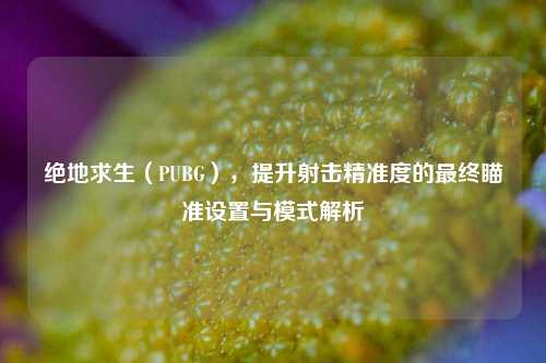 绝地求生(PUBG),提升射击精准度的最终瞄准设置与模式解析