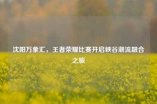 沈阳万象汇,王者荣耀比赛开启峡谷潮流融合之旅