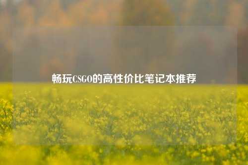 畅玩CSGO的高性价比笔记本推荐