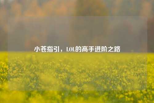 小苍指引,LOL的高手进阶之路