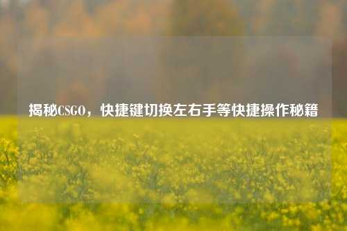 揭秘CSGO,快捷键切换左右手等快捷操作秘籍