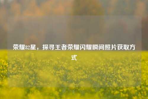 荣耀82星,探寻王者荣耀闪耀瞬间照片获取方式