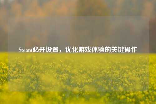 Steam必开设置,优化游戏体验的关键操作