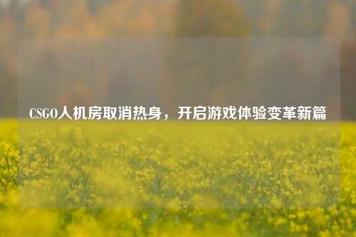 CSGO人机房取消热身，开启游戏体验变革新篇
