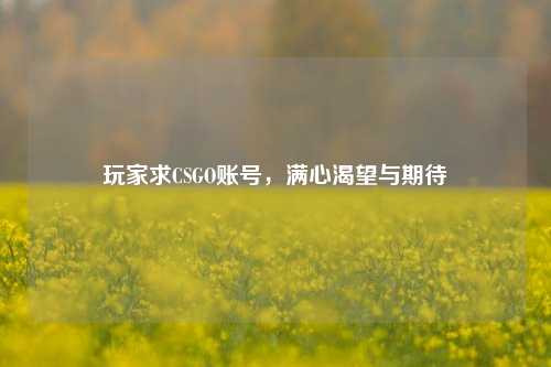 玩家求CSGO账号,满心渴望与期待