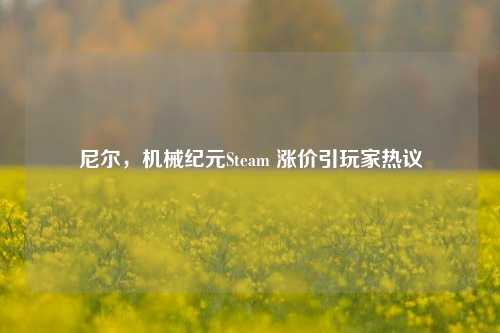 尼尔,机械纪元Steam 涨价引玩家热议