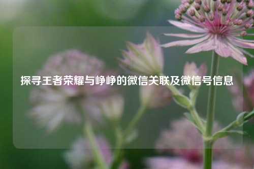 探寻王者荣耀与峥峥的微信关联及微信号信息