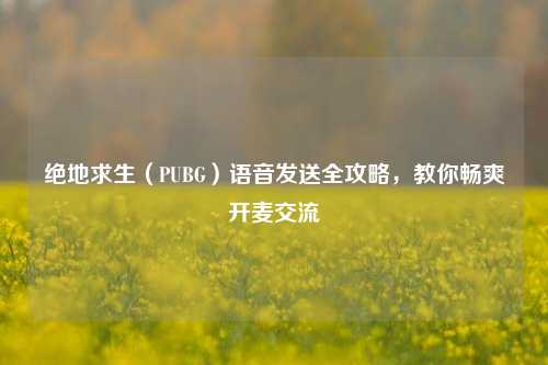 绝地求生(PUBG)语音发送全攻略,教你畅爽开麦交流
