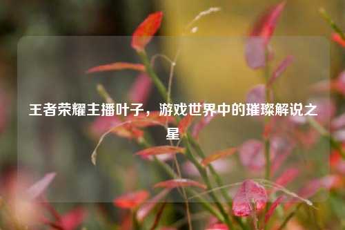 王者荣耀主播叶子,游戏世界中的璀璨解说之星