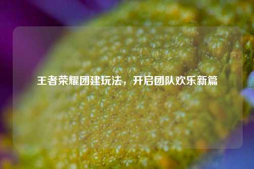 王者荣耀团建玩法,开启团队欢乐新篇