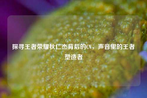 探寻王者荣耀狄仁杰背后的CV,声音里的王者塑造者