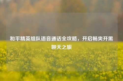和平精英组队语音通话全攻略,开启畅爽开黑聊天之旅
