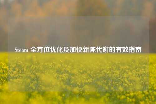 Steam 全方位优化及加快新陈代谢的有效指南