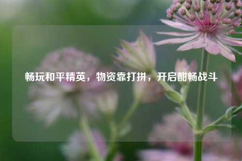 畅玩和平精英,物资靠打拼,开启酣畅战斗