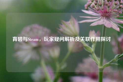 育碧与Steam,玩家疑问解析及关联作用探讨