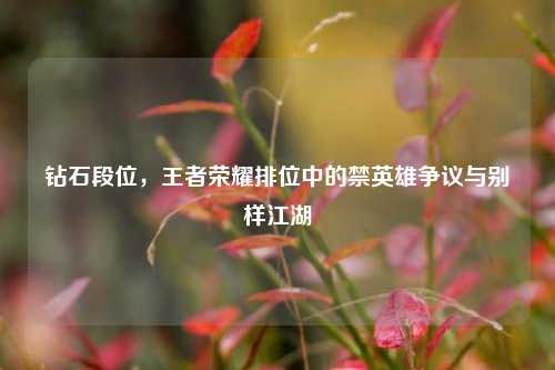 钻石段位,王者荣耀排位中的禁英雄争议与别样江湖
