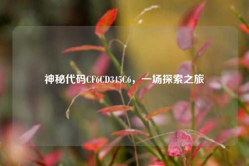神秘代码CF6CD345C6,一场探索之旅