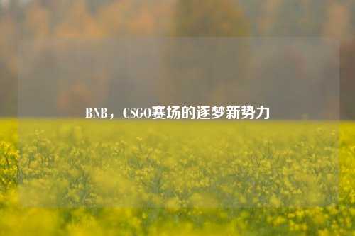 BNB,CSGO赛场的逐梦新势力