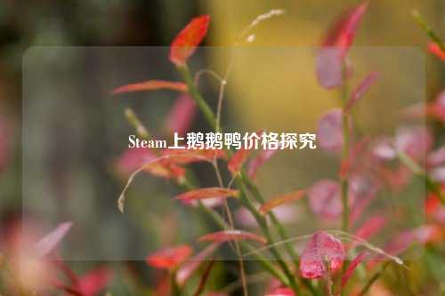 Steam上鹅鹅鸭价格探究