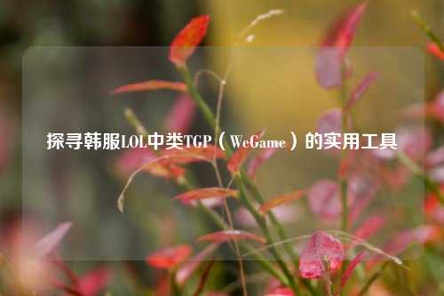 探寻韩服LOL中类TGP(WeGame)的实用工具