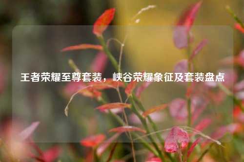 王者荣耀至尊套装,峡谷荣耀象征及套装盘点