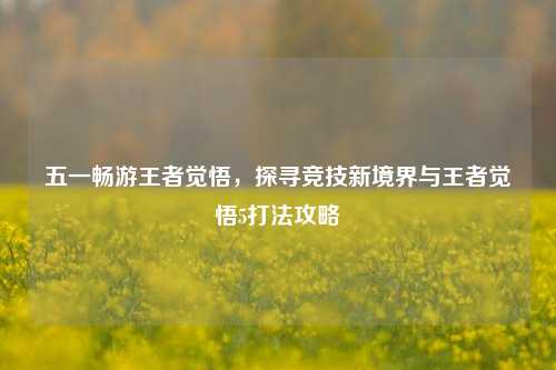 五一畅游王者觉悟,探寻竞技新境界与王者觉悟5打法攻略