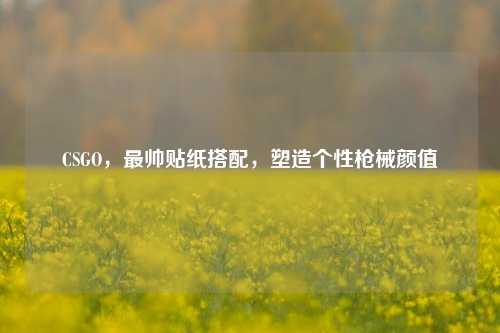 CSGO,最帅贴纸搭配,塑造个性枪械颜值
